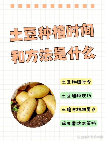 种植土豆的时间和方法,种土豆的方法 栽培技术