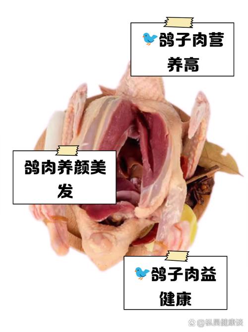 哪里能买到鸽子肉,鸽子肉从哪买?