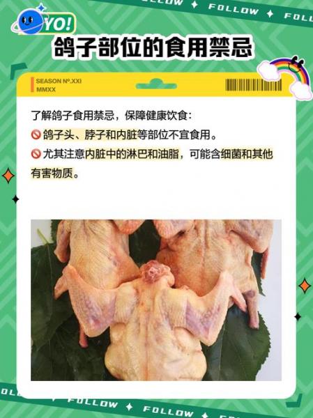 哪里能买到鸽子肉,鸽子肉从哪买?