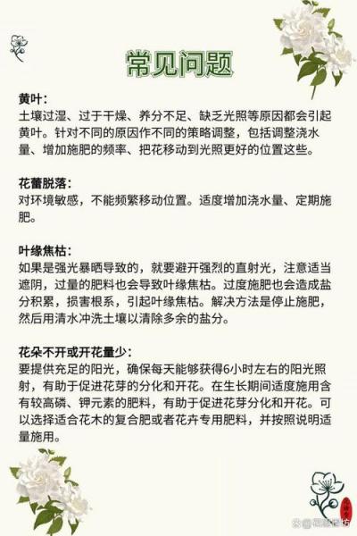 栀子花的养殖方法和注意事项冬天?栀子花冬季养护方法?