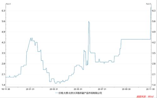 大葱价格最新行情走势预测,大葱价格最新行情走势预测图?