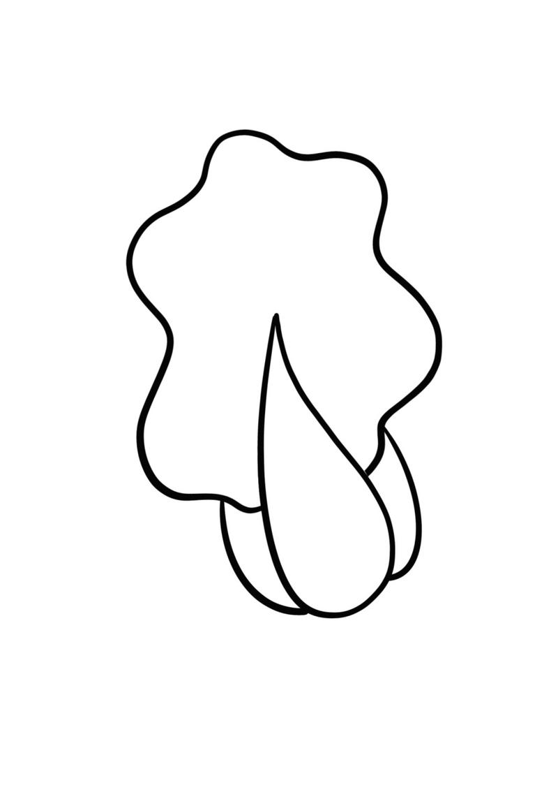 怎样画大白菜最好画,如何画大白菜?
