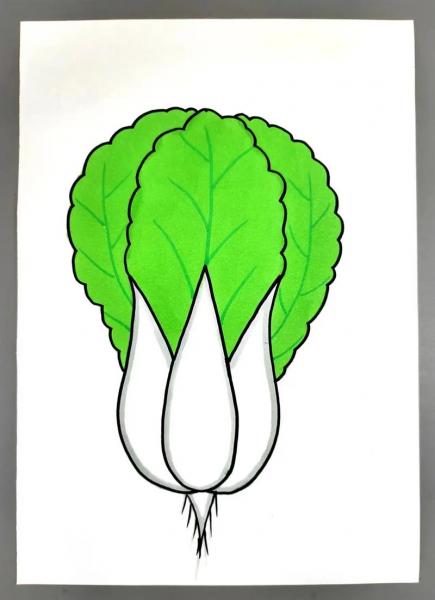 怎样画大白菜最好画,如何画大白菜?