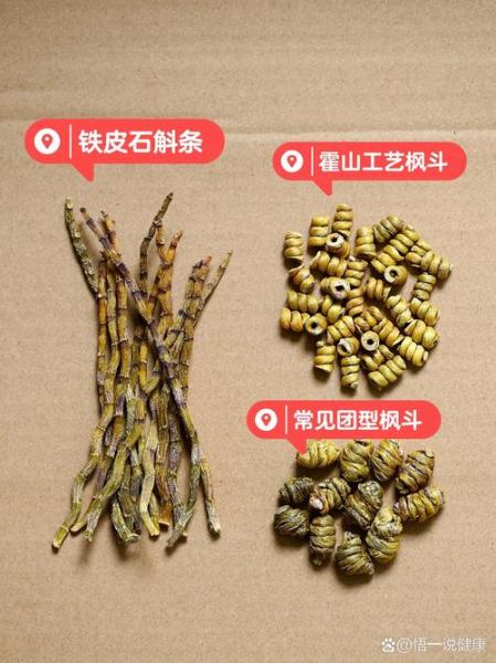 铁皮石斛适应什么地方种植,铁皮石斛适合在哪里种植?