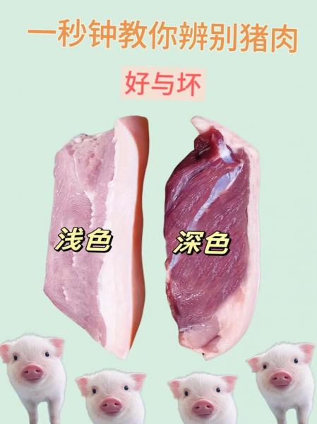 土猪肉和普通猪肉口感区别?土猪肉有什么区别?