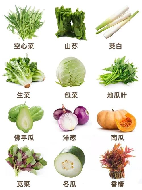 一般3月到4月份的蔬菜有哪些,3月4月当季蔬菜?