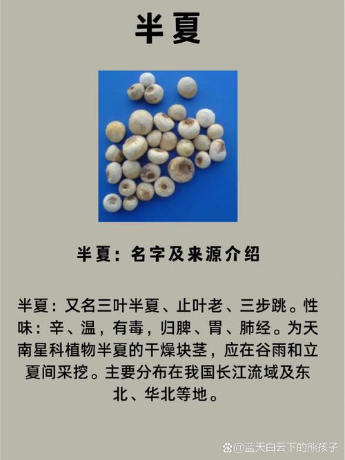 旱半夏种植条件,旱半夏种植效益