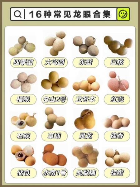 哪里龙眼批发价格便宜,哪里有龙眼批发?