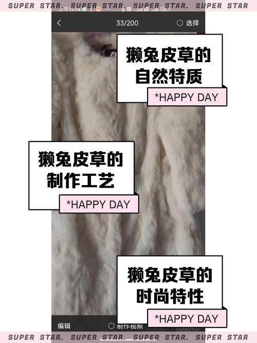 獭兔在哪里买?獭兔产地哪里最好?