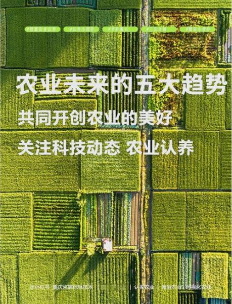 现代农业发展趋势主要有哪些,现代农业发展方向有哪几方面