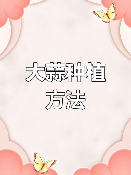 大蒜的种植方法和管理技术?大蒜的种植技巧?