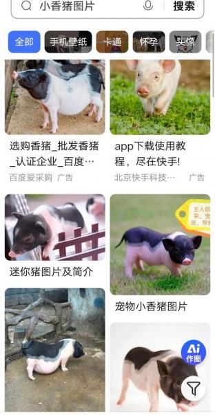 哪有小猪仔出售的价格,哪里有小猪仔出售