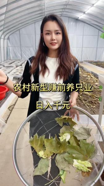 农业养殖养什么好,农种养殖什么最挣钱