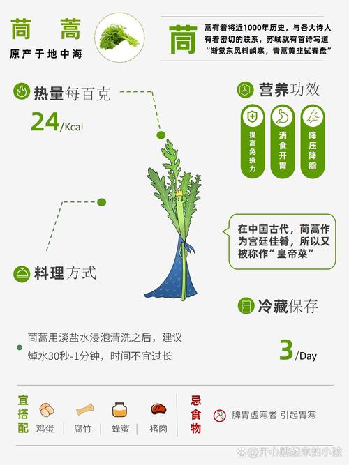 茼蒿种植时间及方法