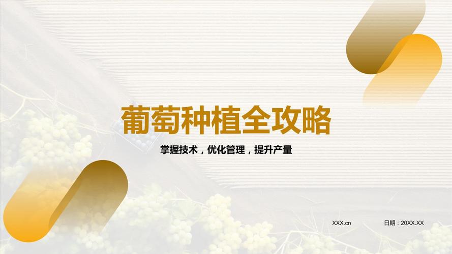葡萄怎样种植技术，葡萄种植步骤