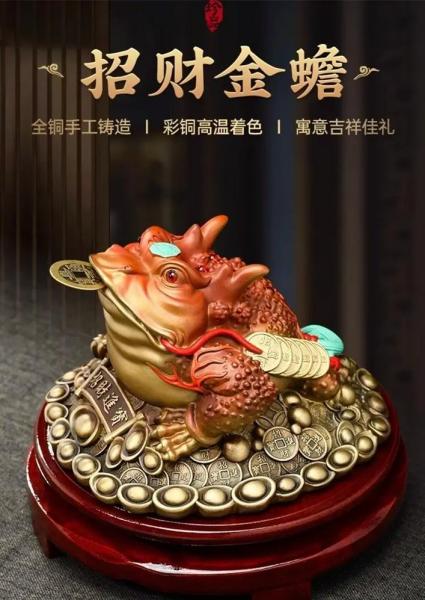金蟾怎么养殖方法,金蟾怎么养吃什么食物