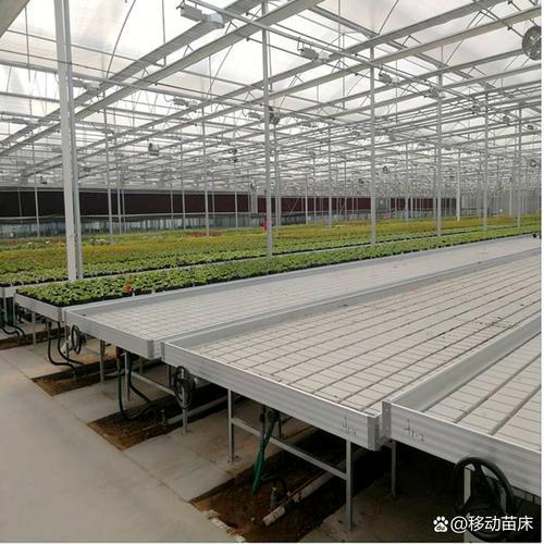 种植芽苗菜需要什么设备,种植芽苗菜需要什么设备呢?