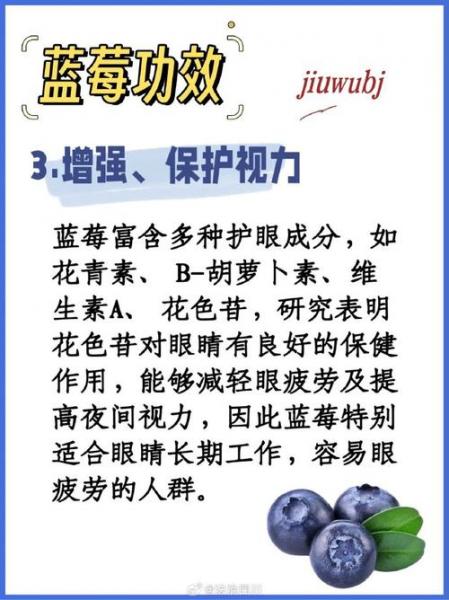 蓝莓价格昂贵的原因,蓝莓为什么卖的贵