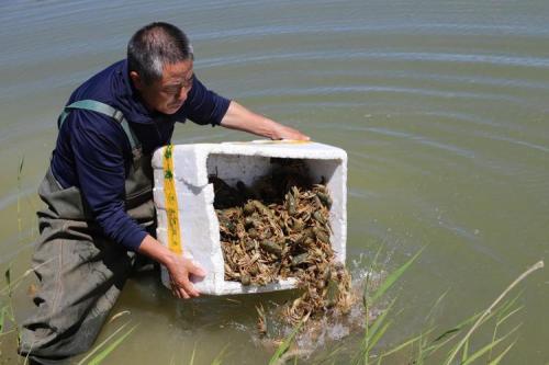 水产养殖是什么?水产养殖是什么工作?