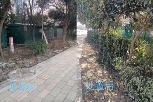 农村养殖业绿化要求？养殖场内的绿化率要求不低于多少？