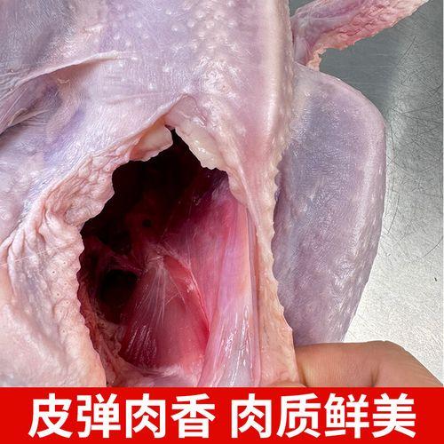 养殖孔雀需要办理什么手续?养殖 孔雀?