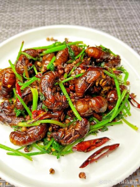 爬叉怎么养殖需要多久,爬叉怎么养殖需要多少钱