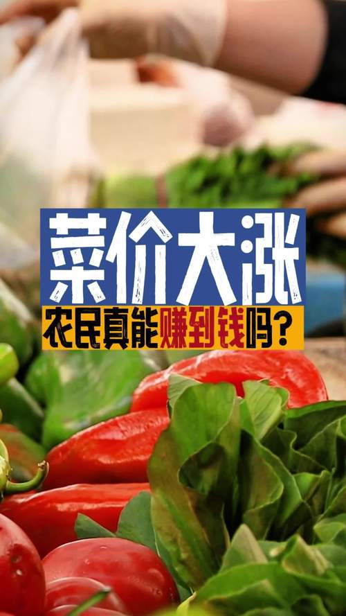 菜价怎么涨了这么多,菜价怎么这么高?