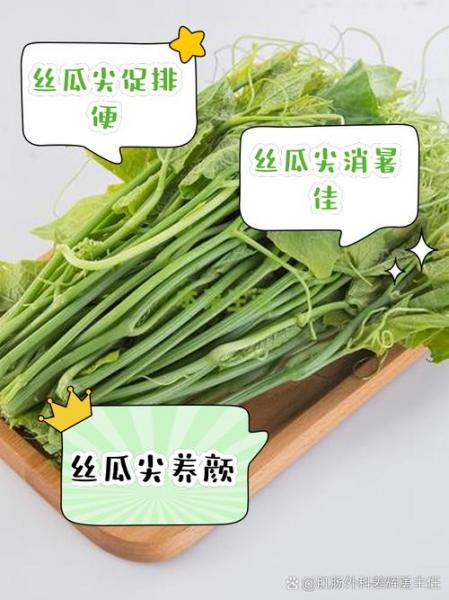 丝瓜种植如何打尖?丝瓜尖怎么种?