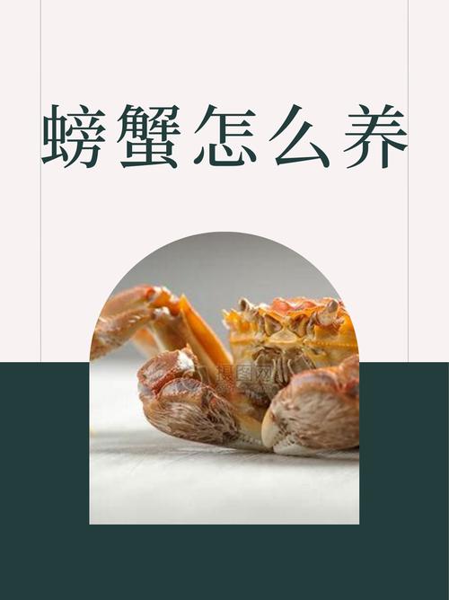 大闸蟹养殖可以一年不喂吗,大闸蟹养几天不会死