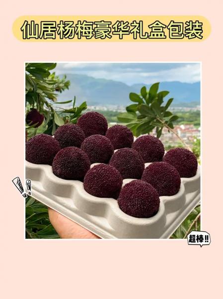 杨梅价格怎么差别那么大,杨梅价格为什么那么贵?