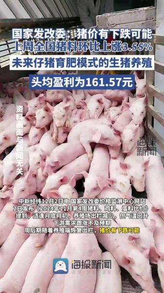 猪价跌价的根本原因,猪价格下跌原因?