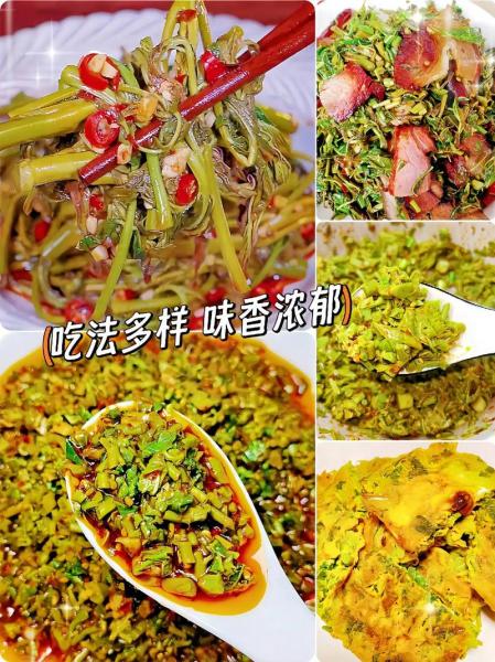 香椿种子怎样种植?香椿种子怎样培育出苗?