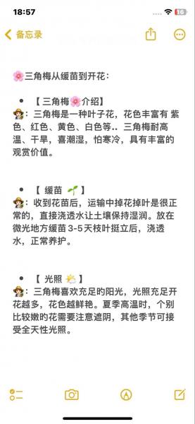 花卉三角梅的养殖方法?三角梅花的养殖方法视频教程?