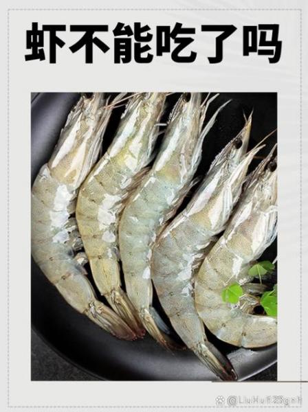 养殖虾能经常吃吗?养殖虾能经常吃吗为什么?