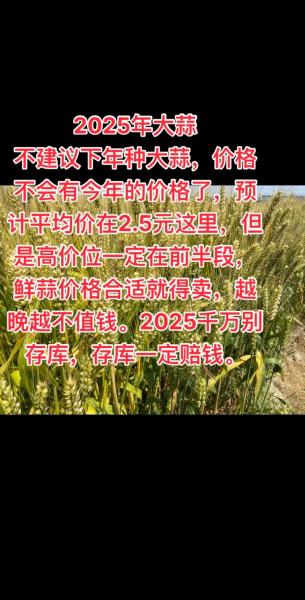今日大蒜最新价格河南杞县,大蒜价格今日价格杞县