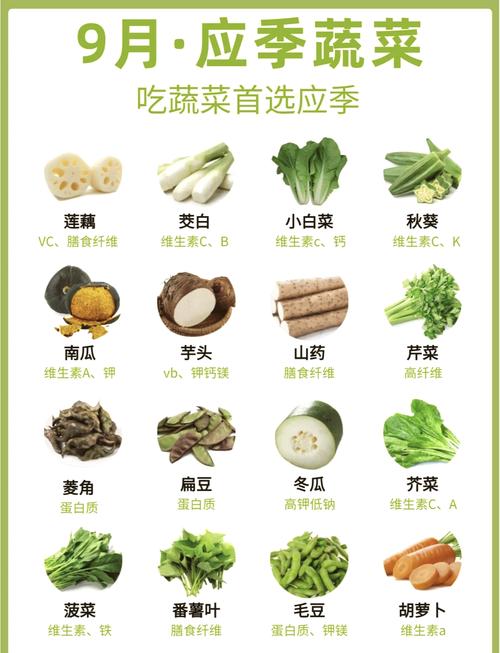 9月种植什么蔬菜最好,9月该种什么蔬菜了