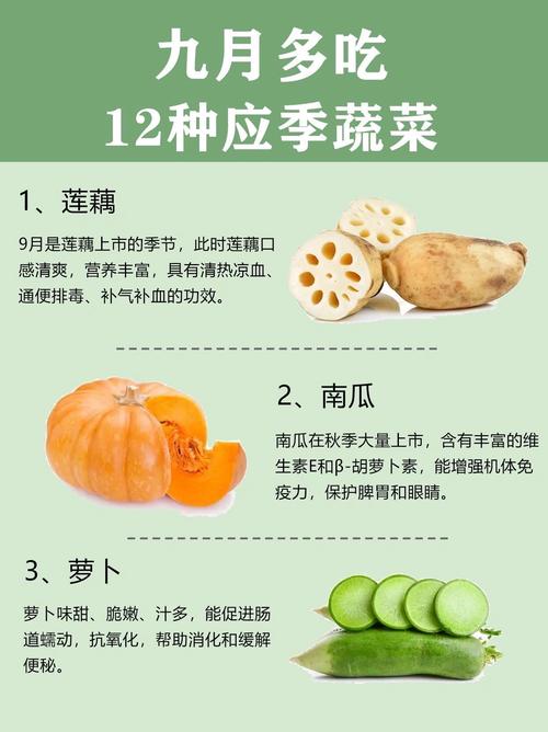 9月种植什么蔬菜最好,9月该种什么蔬菜了