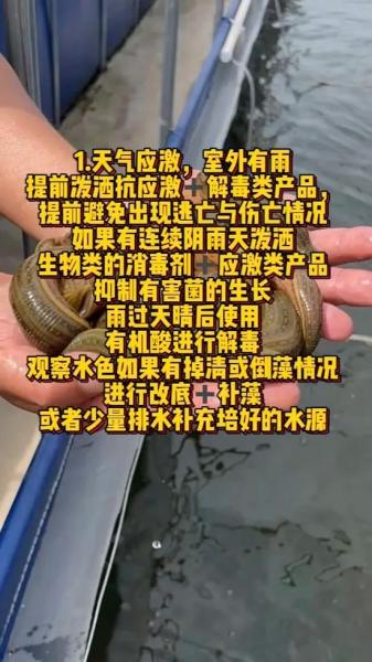 养殖水蛭靠谱吗,养殖水蛭有什么作用