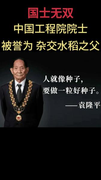 杂交水稻研究了多少年,杂交水稻几几年被研究成功