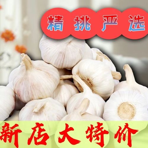 邳州大蒜最新价格11月1,2020邳州大蒜今天最新价格?
