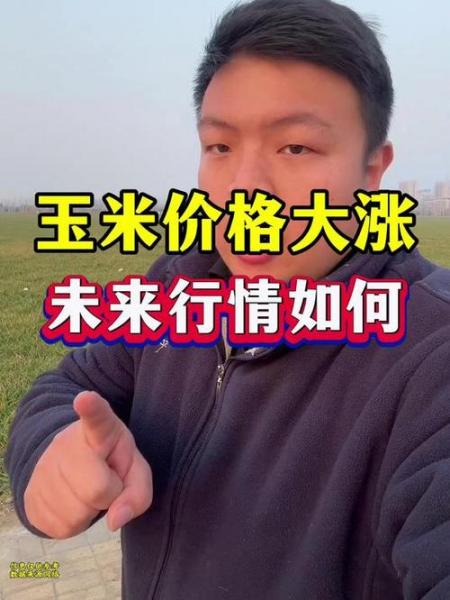 玉米价格上涨了多少?玉米价格上涨了多少倍?