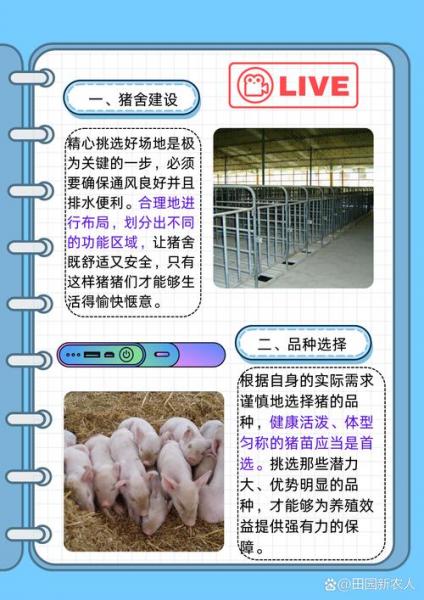 种猪场生产工艺流程?种猪场制种方案?
