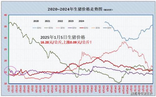 猪价上涨原因背后,猪价上涨原因何在呢??
