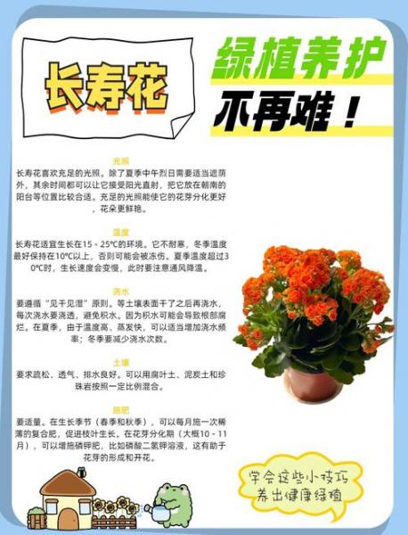 长寿花的养殖方法和注意事项浇水?长寿花的养殖办法?