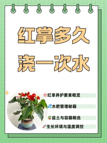 红掌的养殖方法和注意事项水养,红掌怎样养殖才能茂盛