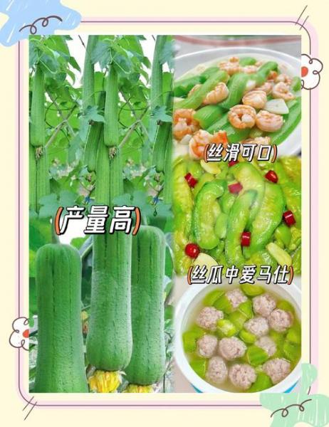 家庭种植丝瓜的方法?家庭种植丝瓜的方法有哪些?
