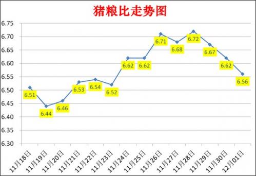 今年猪价行情走势如何2020,今年猪价2021?