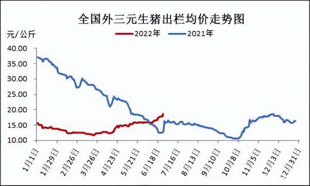 今年猪价行情走势如何2020,今年猪价2021?