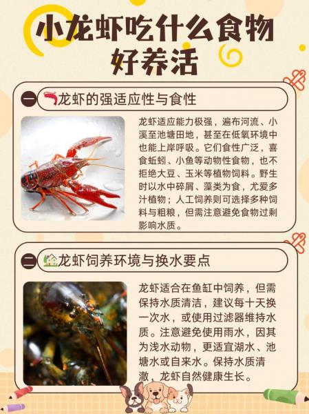 如何承包土地养殖龙虾?耕地养龙虾合法吗?