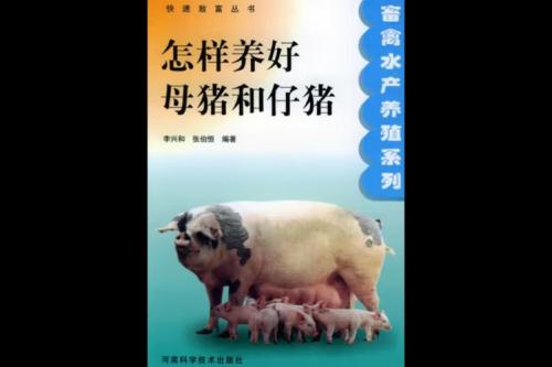 母猪怎么养殖?母猪怎么养殖最好?